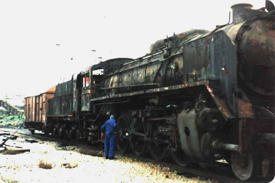 Mikado arcos