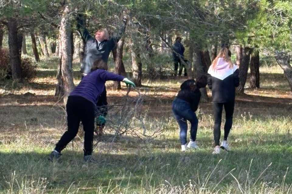 Limpieza de monte en monteagudo de las vicaru00edas