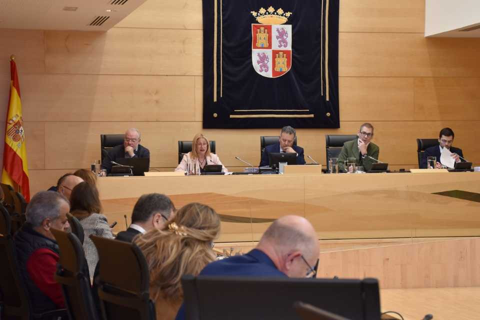 Yolanda de gregorio comisiu00f3n presidencia cortes castilla y leu00f3n