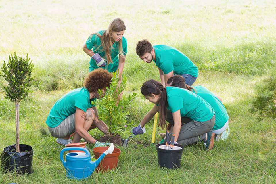 Voluntariado juvenil