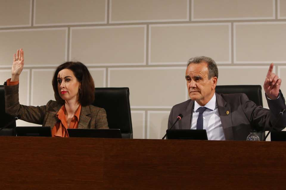 Su00e1nchez quero votando en el pleno de la DPZ