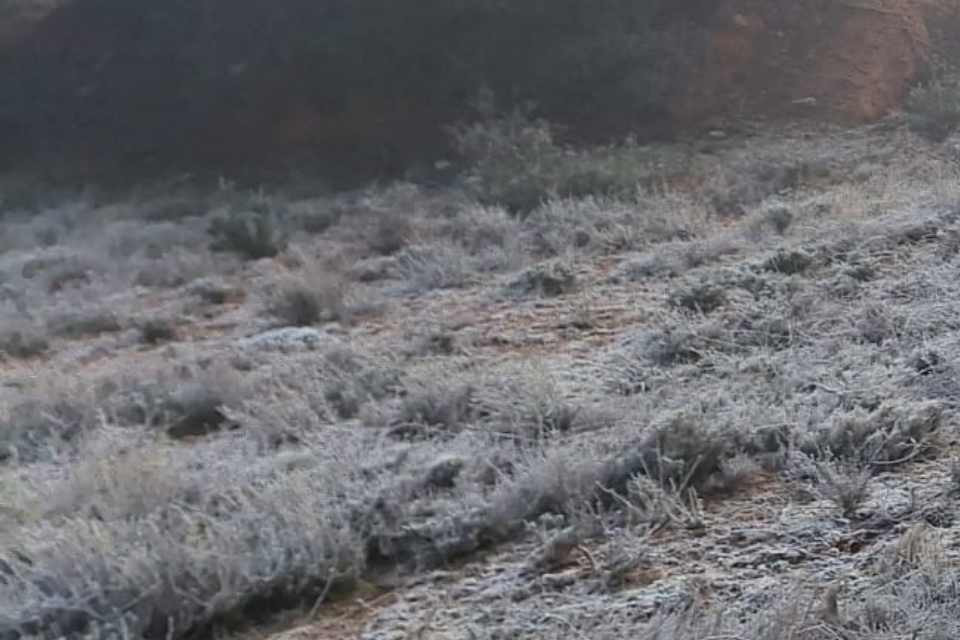 Helada en los montes del Alto Jalu00f3n