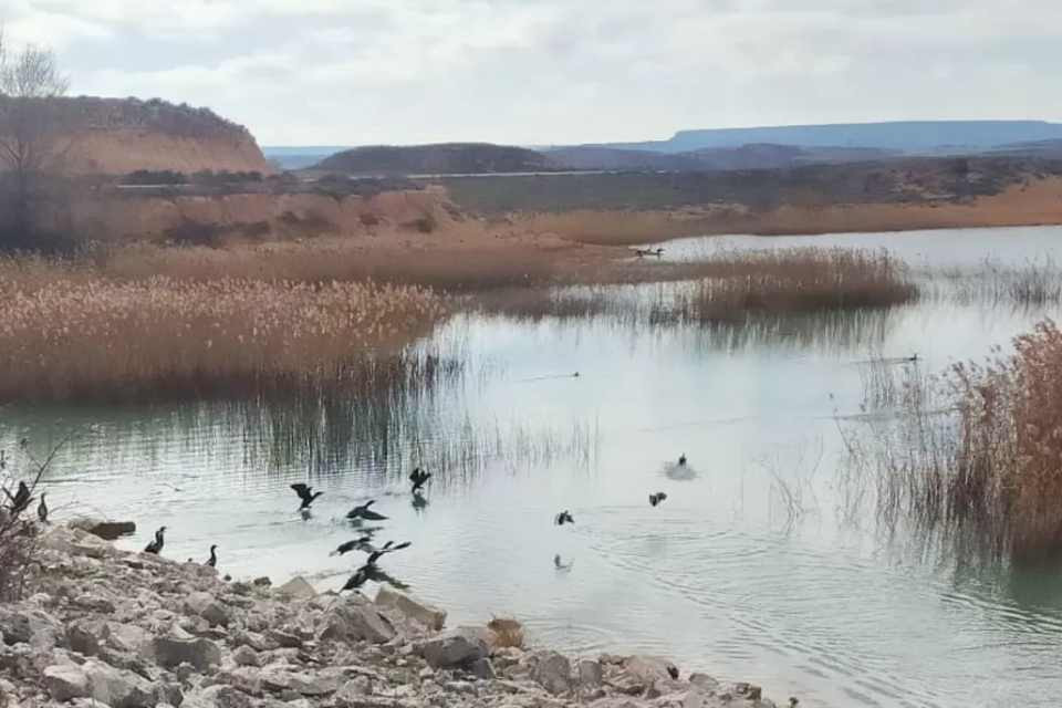 Embalse de monteagudo de las vicaru00edas