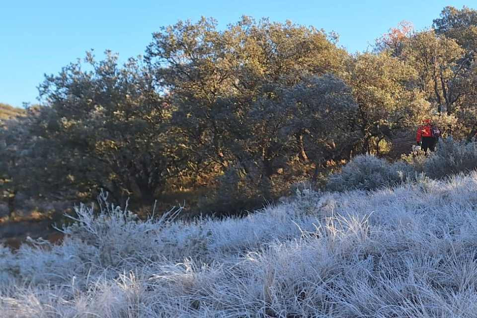 Frío polar en el alto jalón