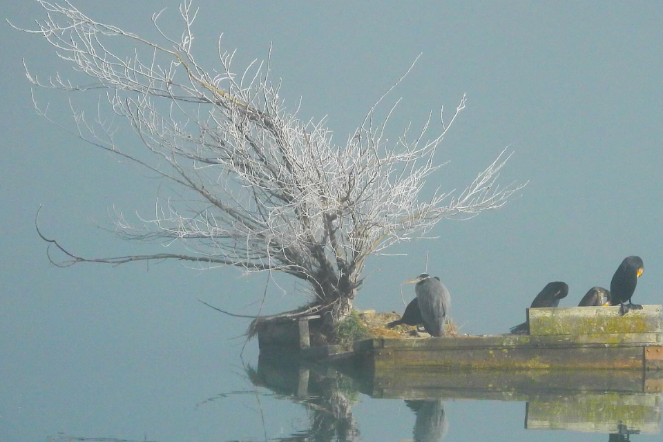 Frío en el embalse de monteagudo de las vicarías