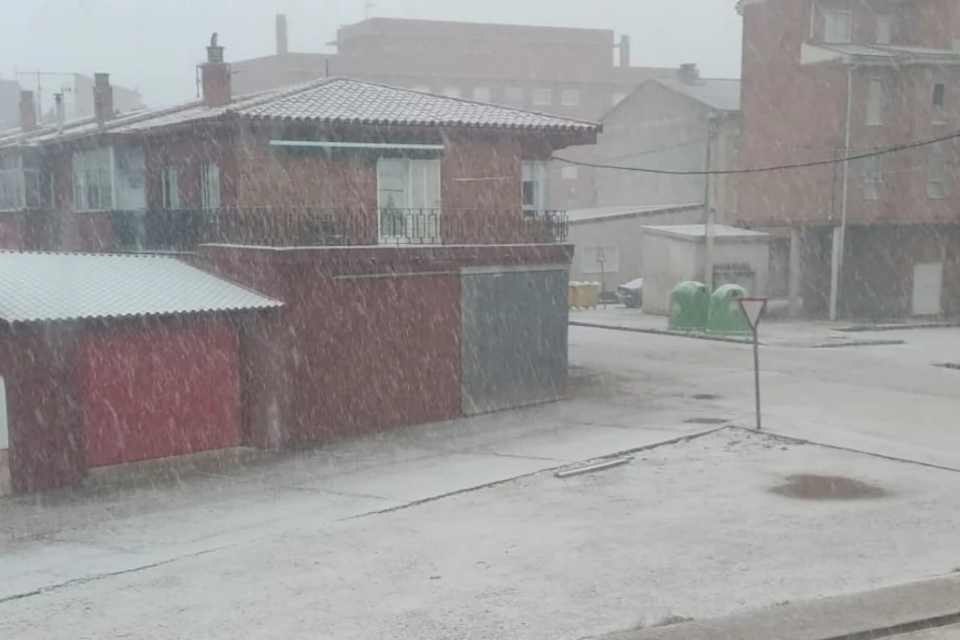 Nieve en ariza