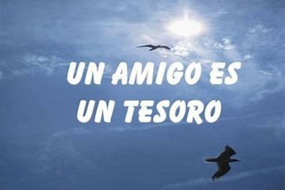 204  Un amigo es un Tesoro