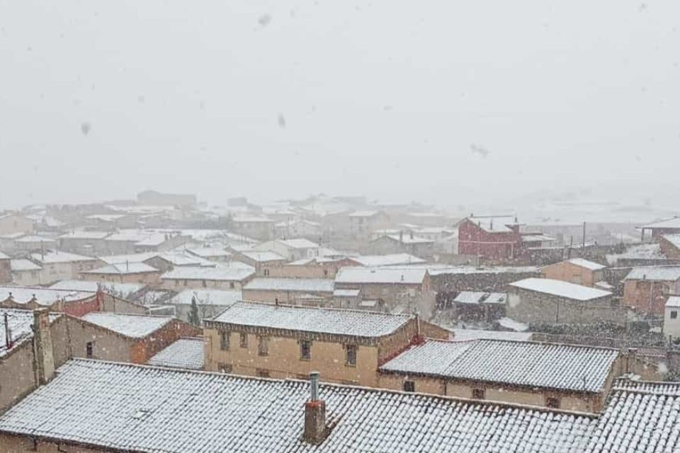 Cetina nieve