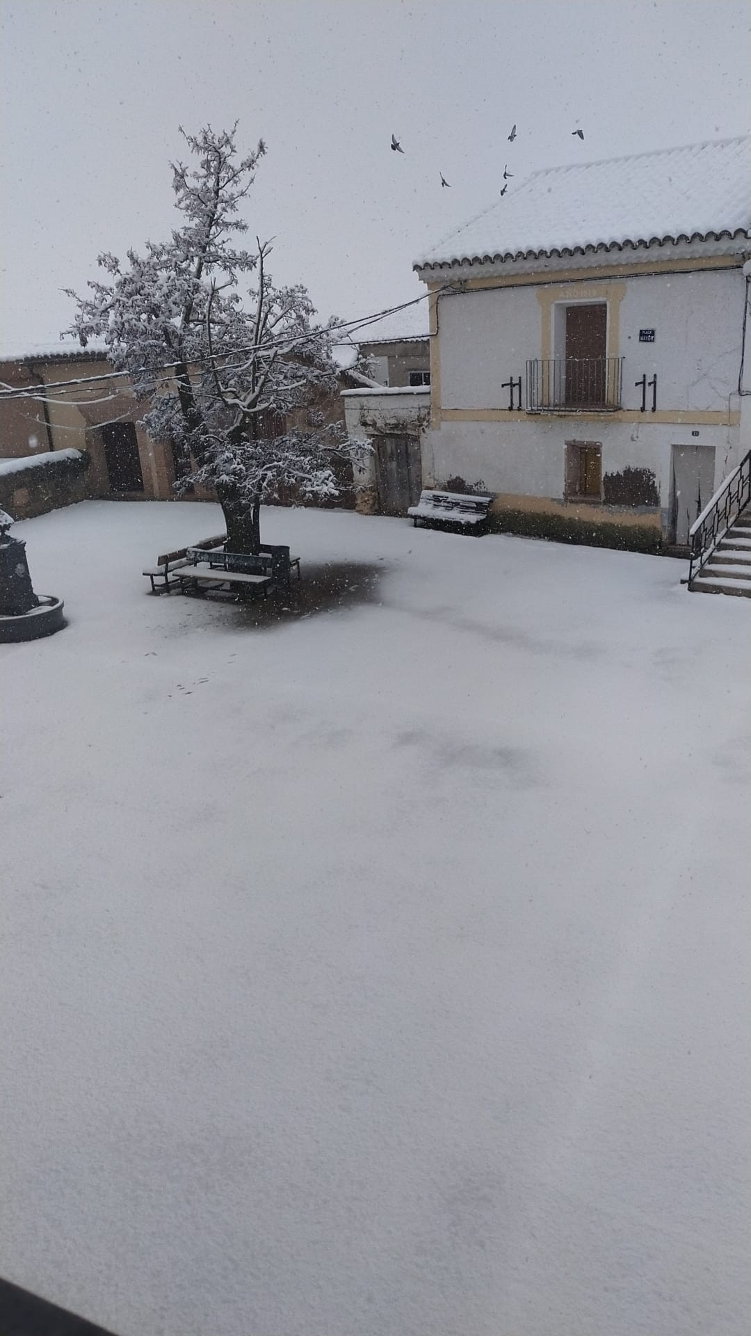 Bordalba (2)