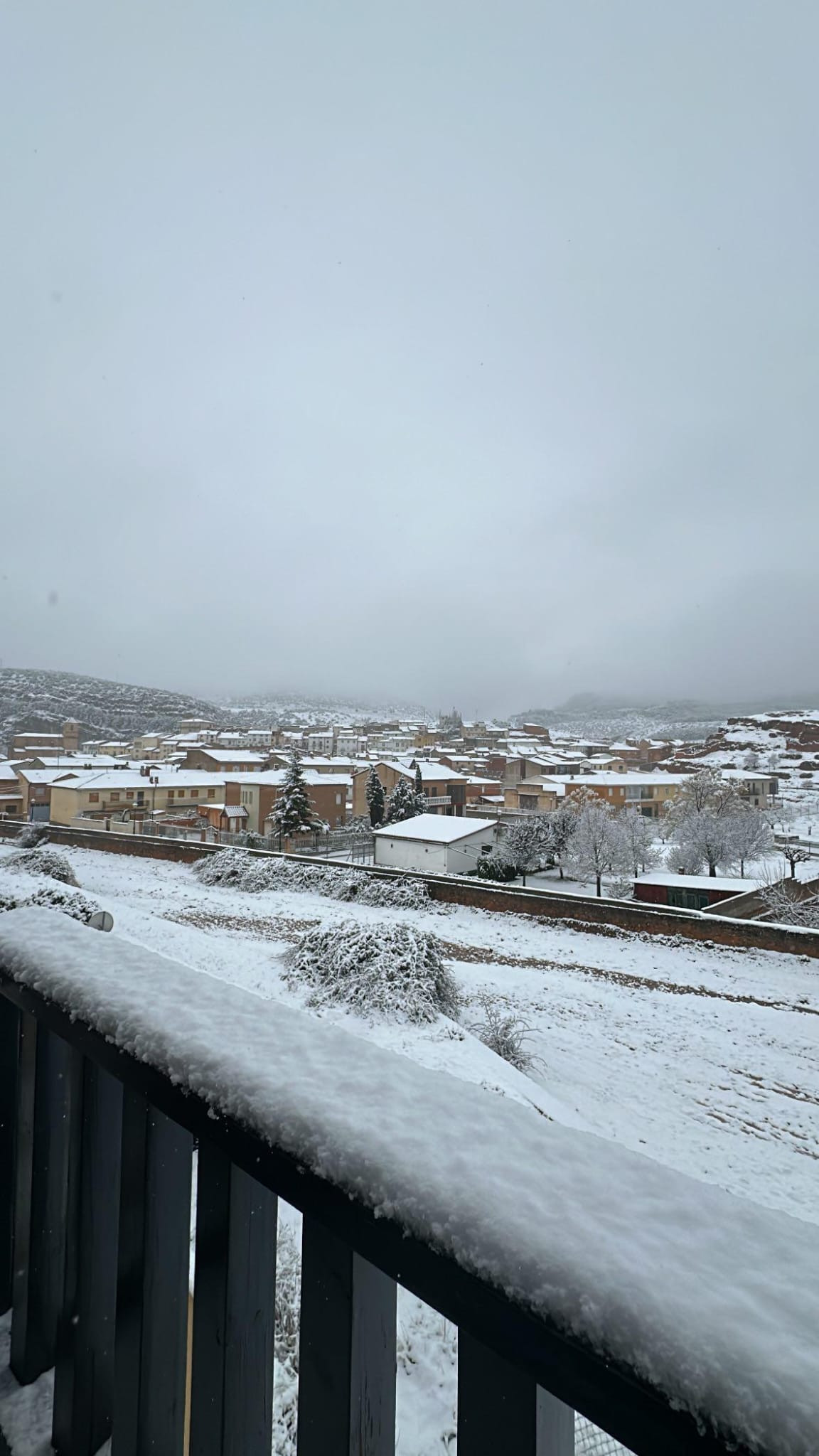 Jaraba