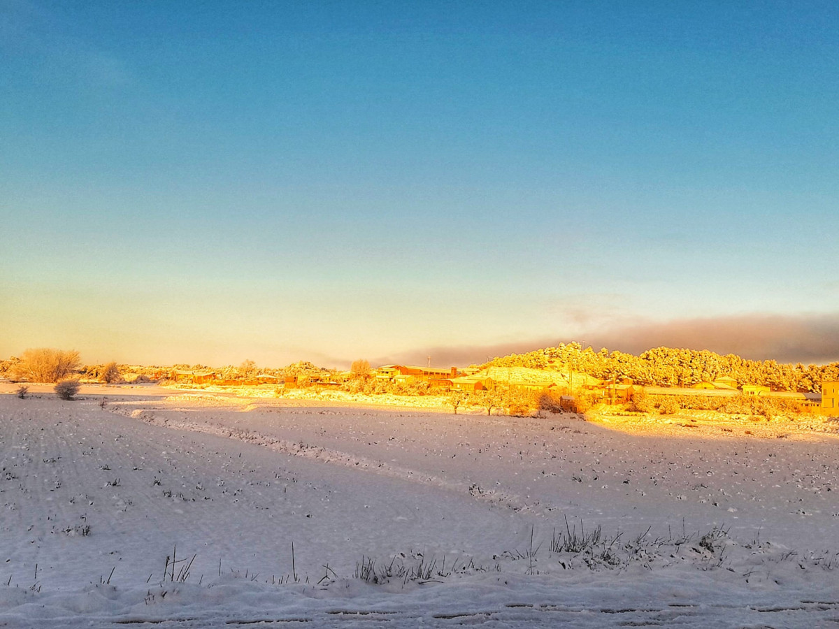 Ariza nieve (1)