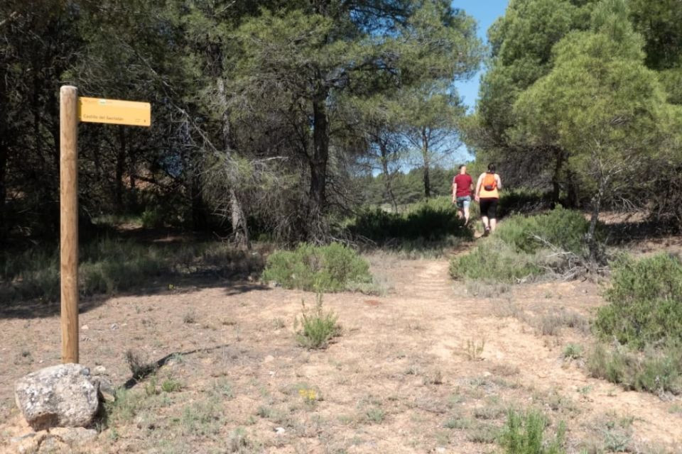 Sendero del sacristu00e1n ariza