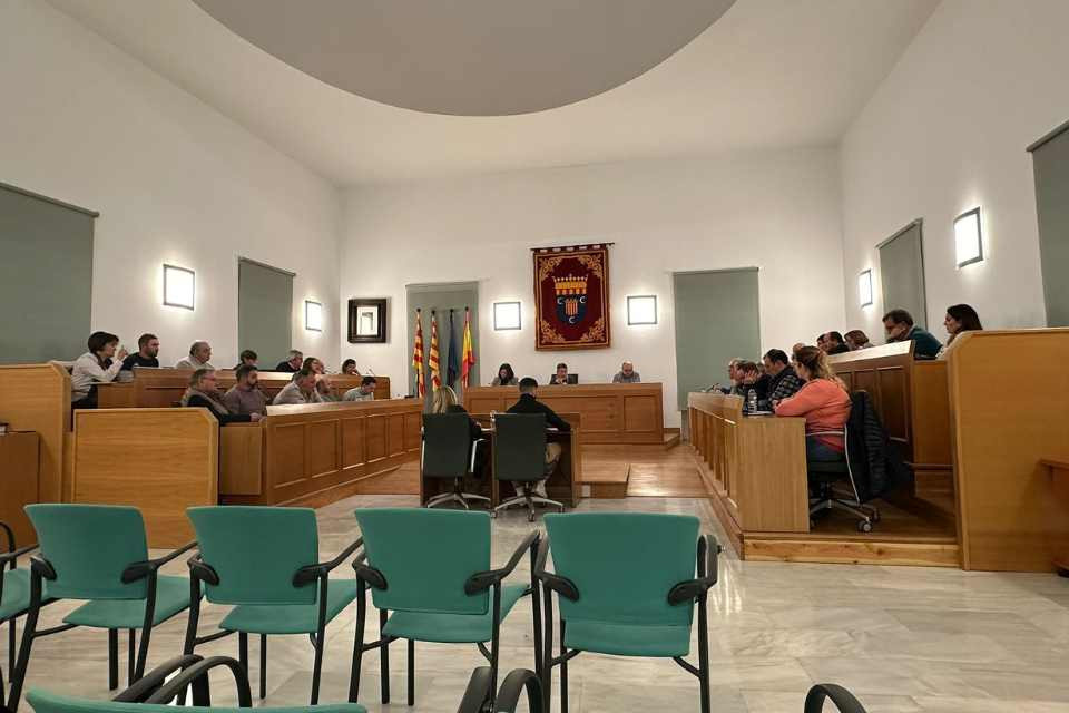 Pleno comarcal