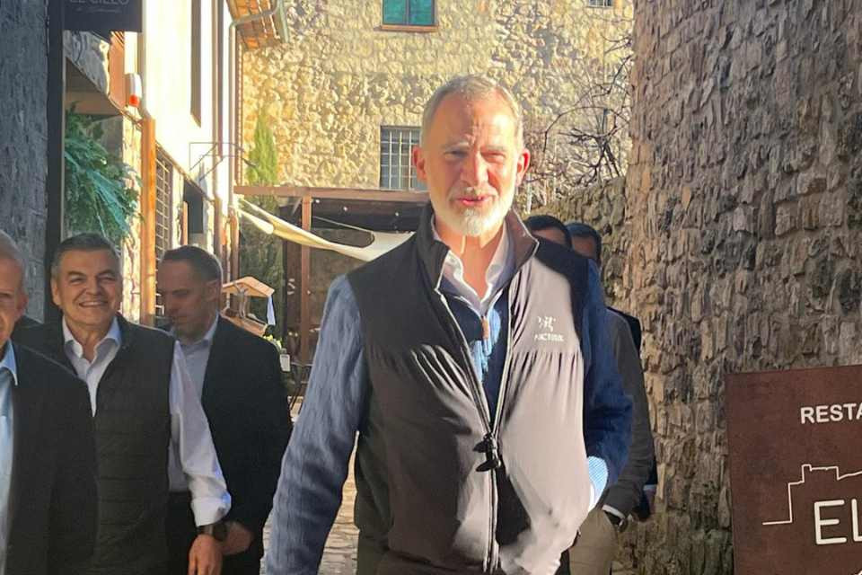 Felipe VI en Medinaceli