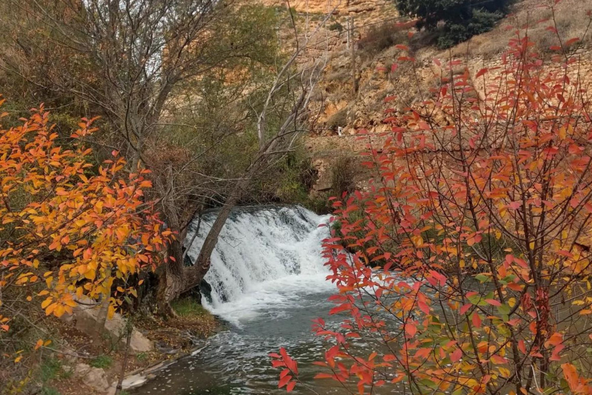 Salto del cuerda
