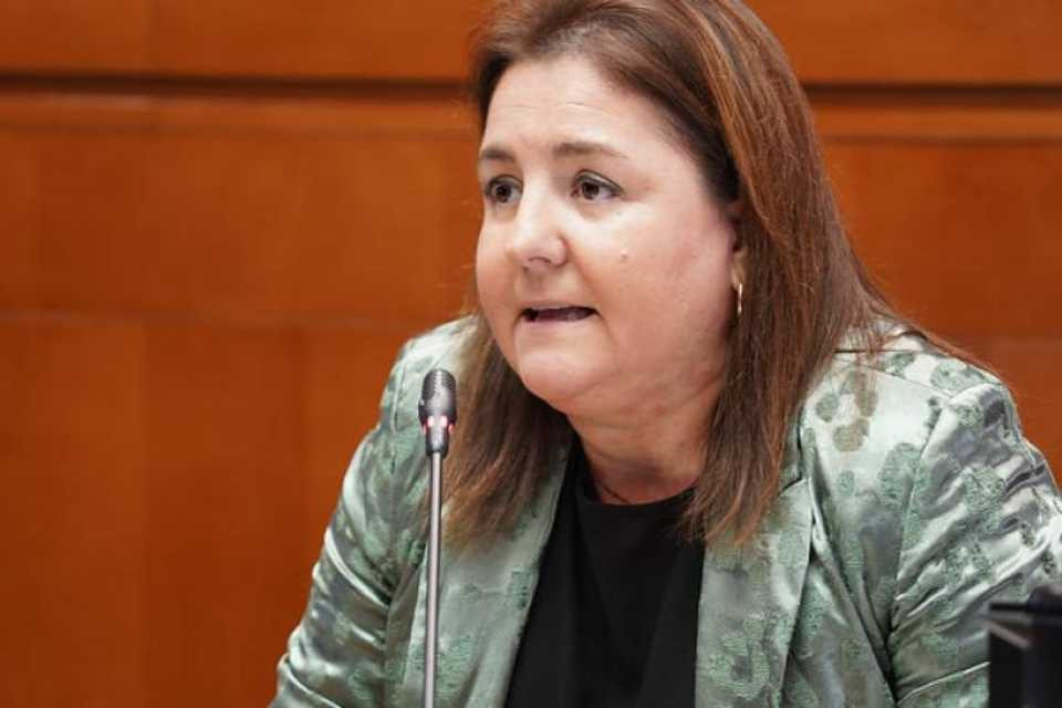 ANA Lu00d3PEZ INAEM ARAGu00d3N
