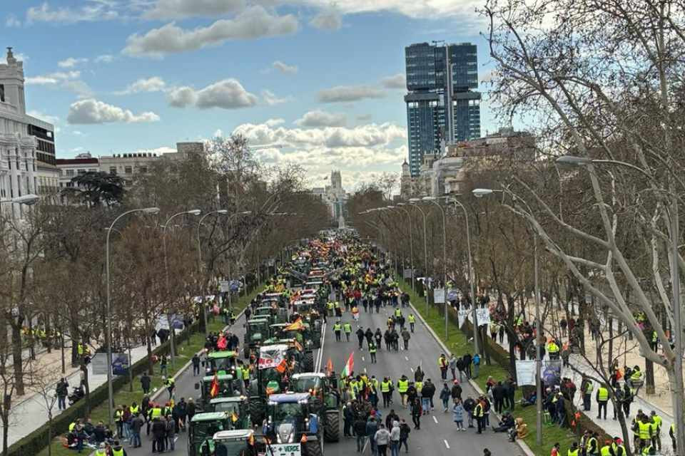 Manifestaciu00f3n madrid