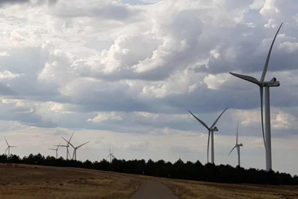 Parque eólico