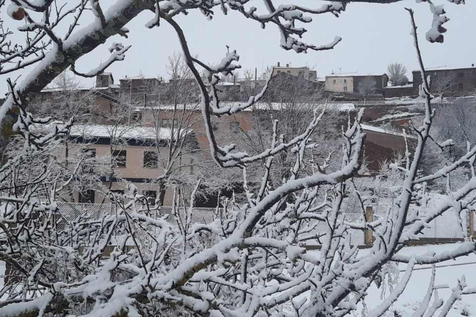 Alcubilla nevado