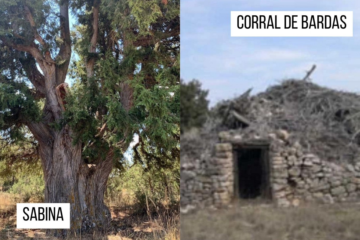 Sabinas
