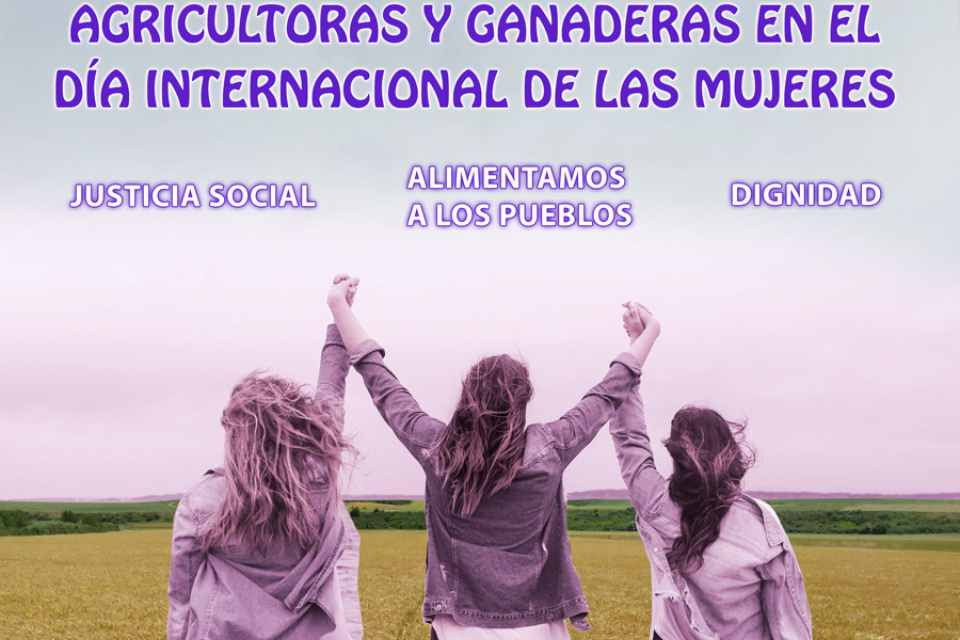 Campo mujer
