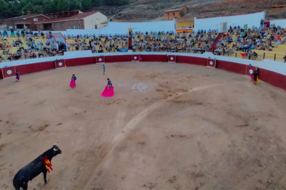 Toros arcos