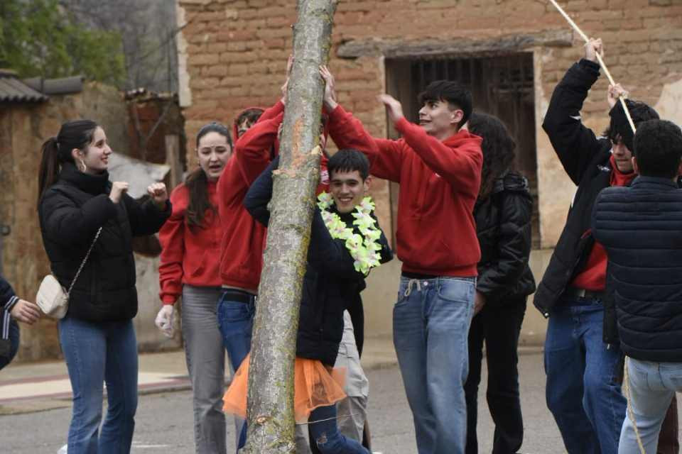 Quintos arcos