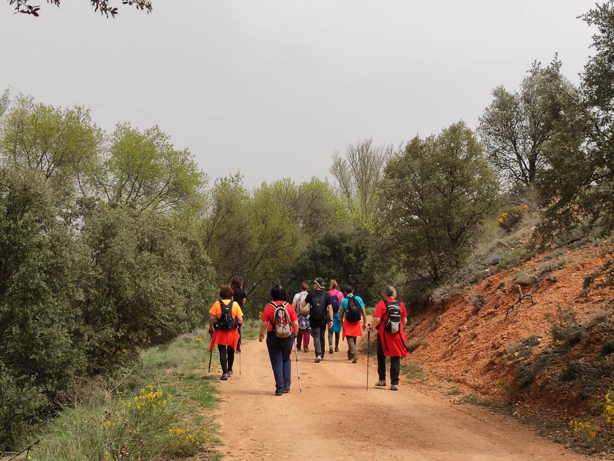 Comuneros velilla (6)