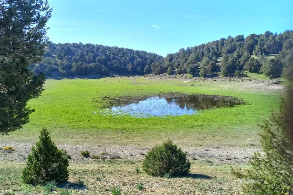 Laguna de judes