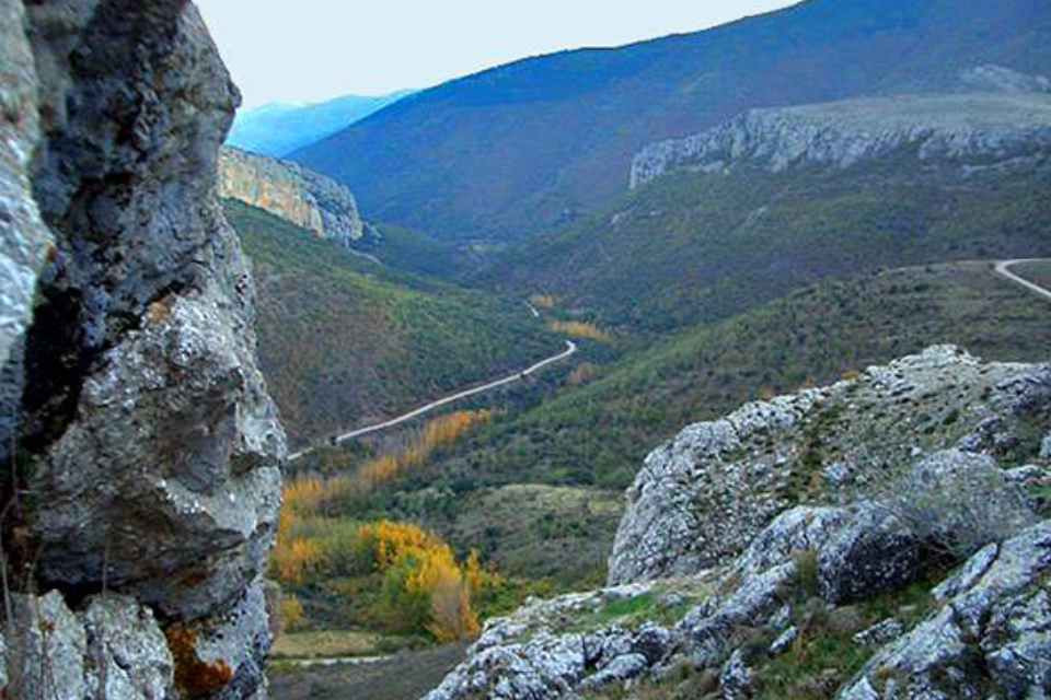 El bosque sagrado de la celtiberia