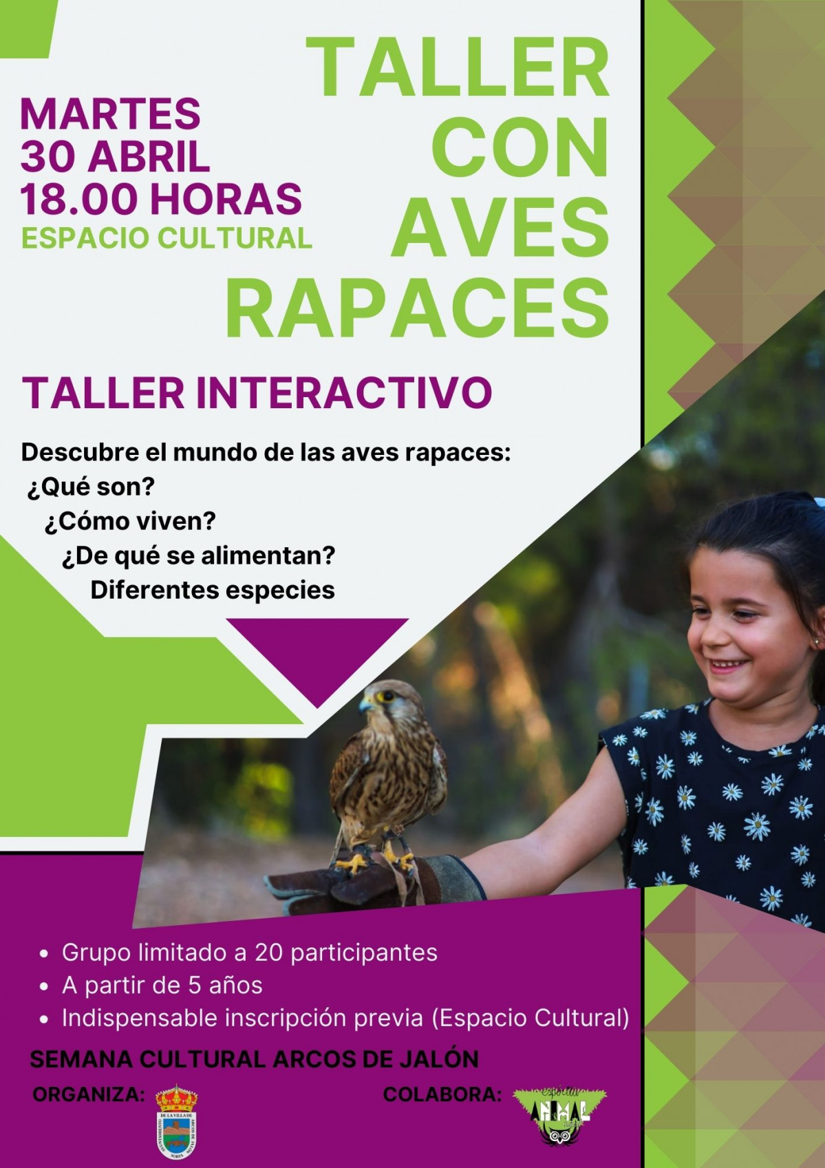 Taller con aves rapaces