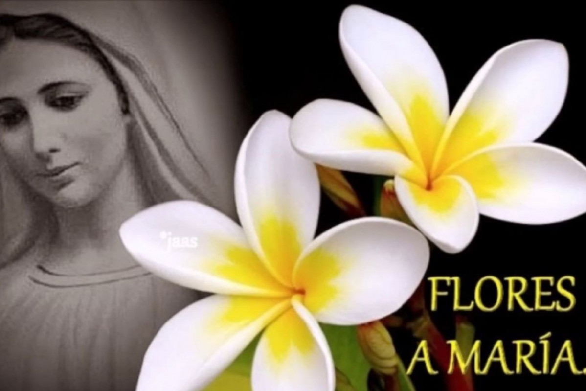 Flores a maria