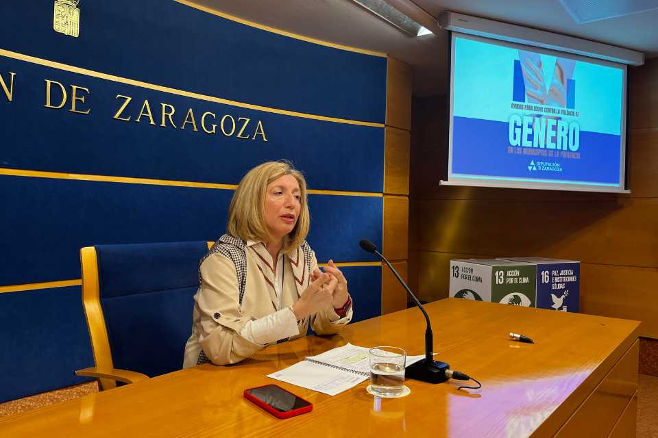 Dpz violencia de género
