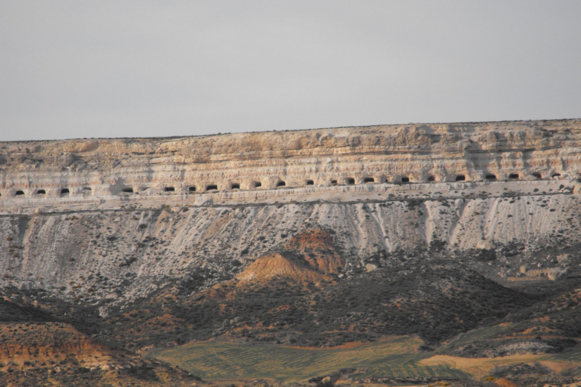 Cuevas champiu00f1u00f3n Arcos