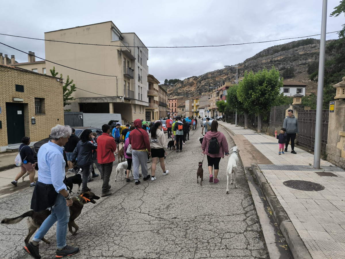Adiestramiento canino (2)