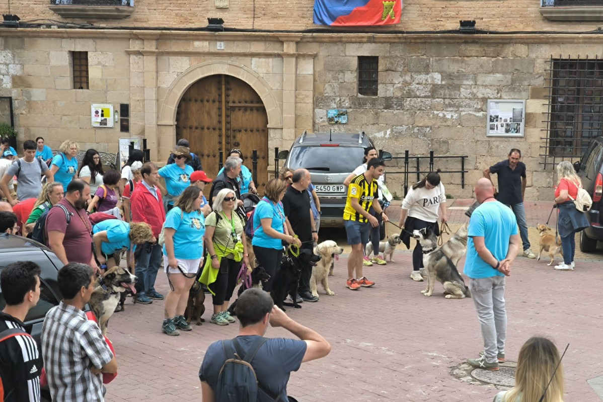 Adiestramiento canino (1)