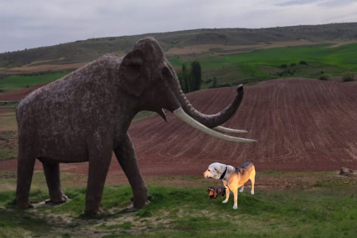 Mamut pipo y tina