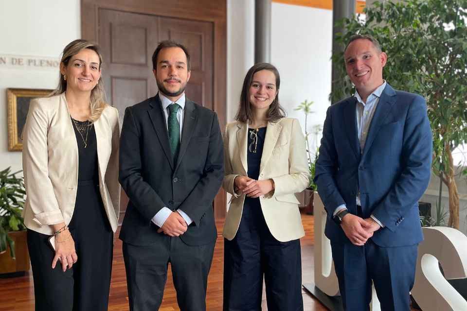 Empleo verde