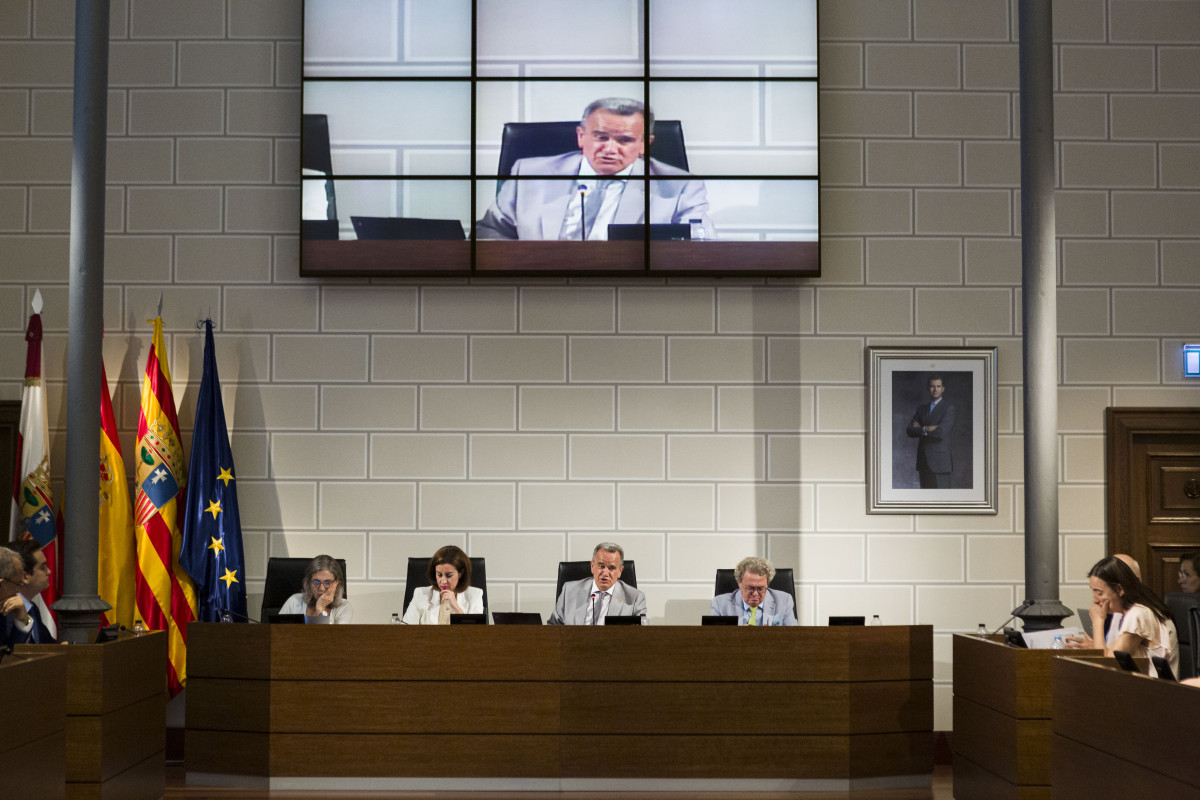 Sesiu00f3n plenaria de la DPZ de julio foto Aru00e1nzazu Navarro