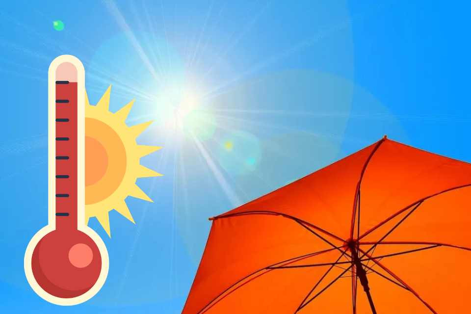 Calor