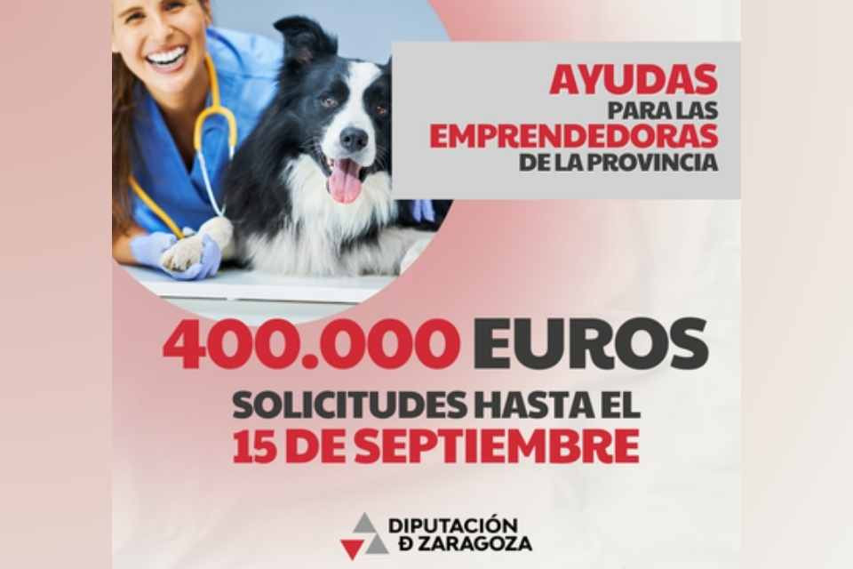 Ayudas dpz emprendedoras