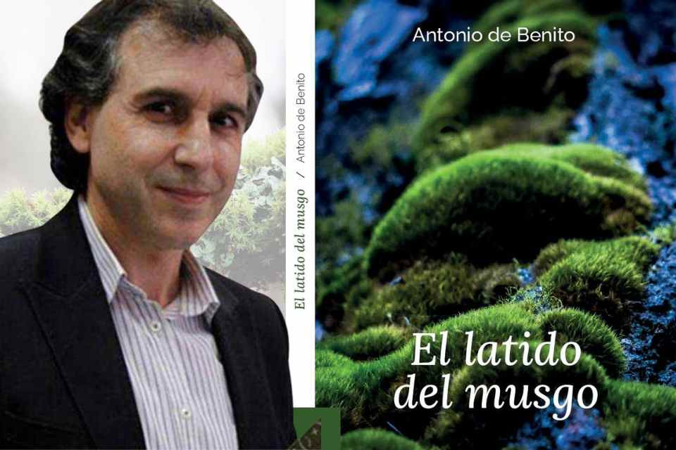 Antonio de benito