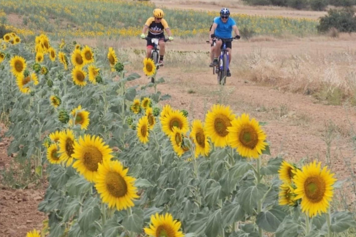 Btt deza resiste
