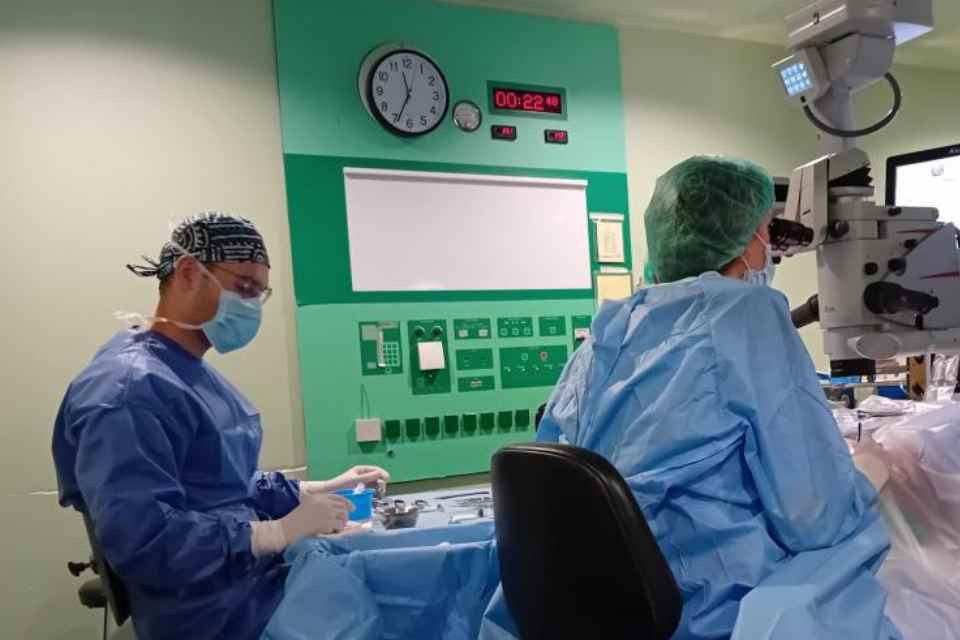 Ciruju00eda aragu00b4no