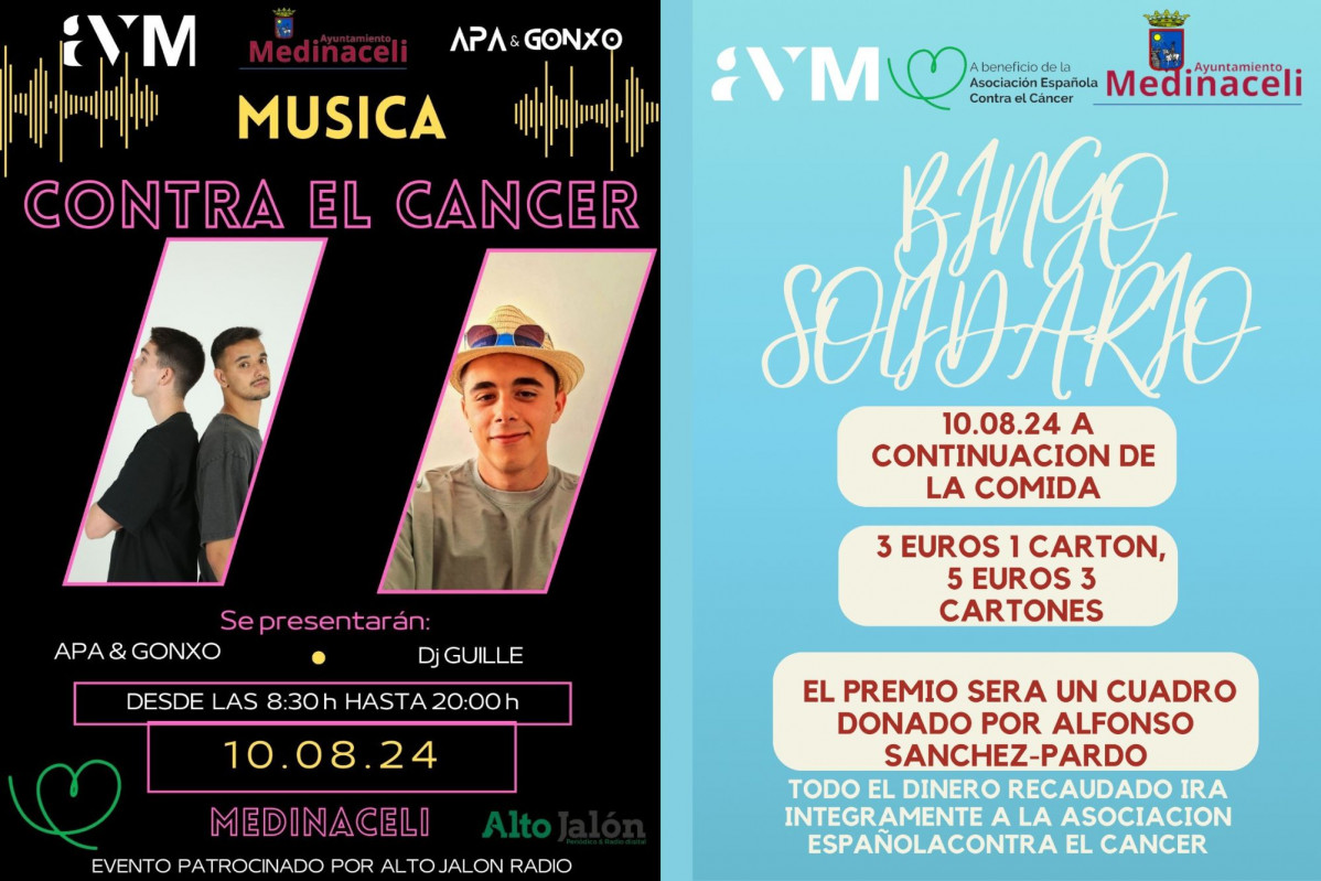 Jornadas solidarias medinaceli (2)
