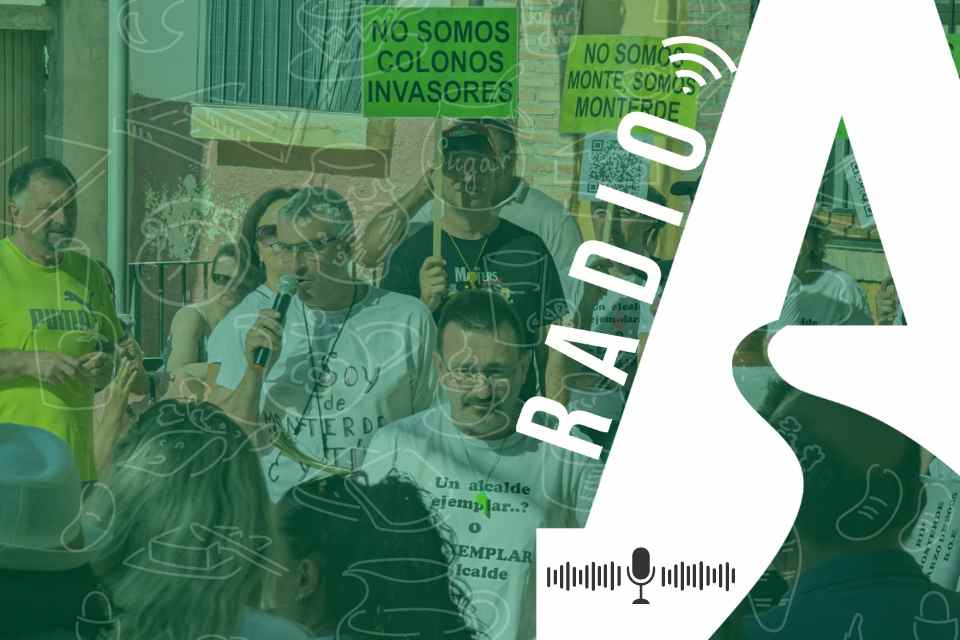 Pardos