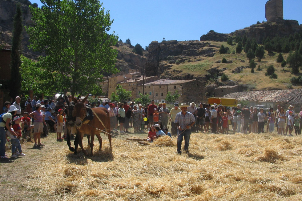 Trillo chaorna