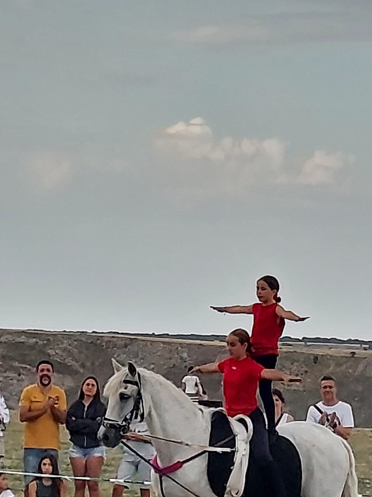 Hipica fiestas medinaceli (12)