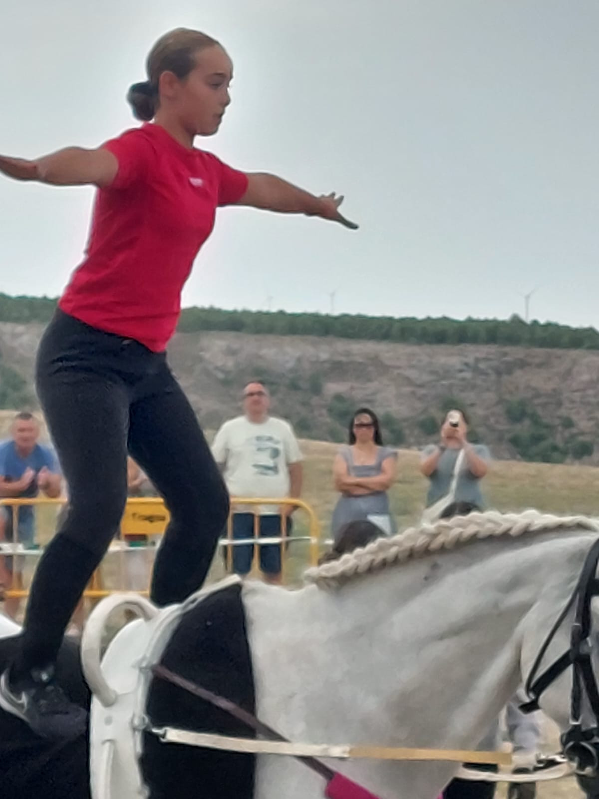 Hipica fiestas medinaceli (15)