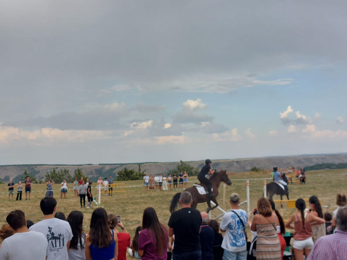 Hipica fiestas medinaceli (21)
